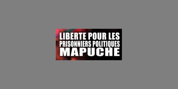Image:Manifestation de soutien aux 34 prisonniers politiques Mapuche
